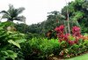 Maui_day06_pano_garden.jpg