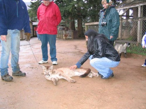 A wildlife zoo in southern Oregon.  Antonette's first encounters with a petting zoo environment and wild animals.
