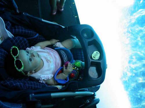 Fascinated by the sea lion exhibit!
