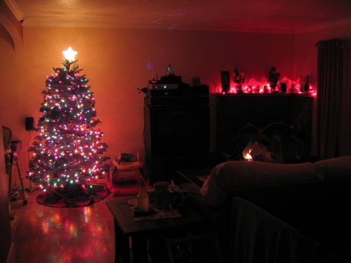 Taken with Auto White Balance; warmer (orange) coloration.
