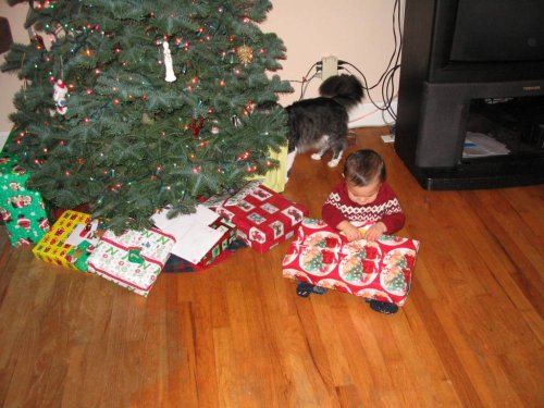 Chubba-Lubba opening his Christmas present all on his own...
