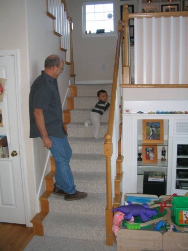 Well, we discovered that Roni can climb stairs and he thinks it's fun.
