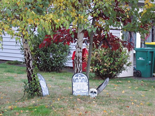 The grave yard...
