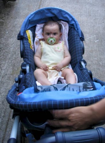 Typical look -- all serious!
