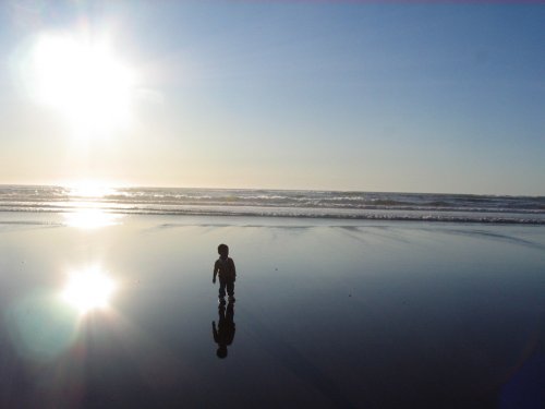 Ronin loved the surf!
