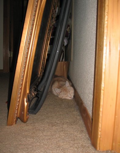 Tye's secret hideout.  Shhh!
