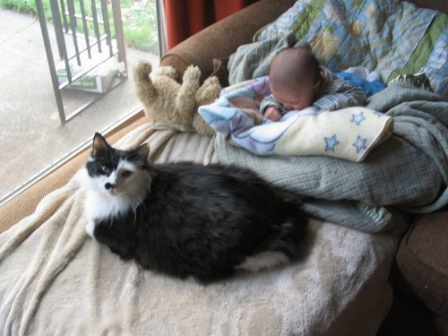 Zeus kicking back with Ronin.
