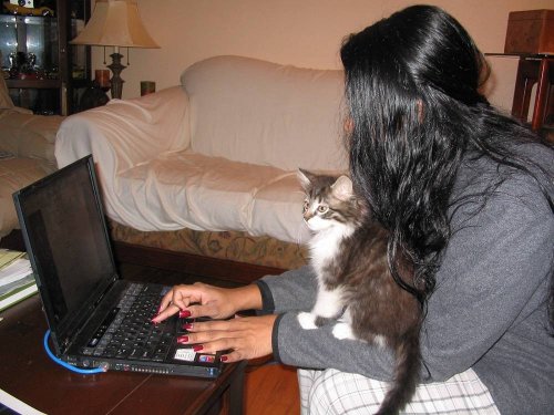 Spider helping Antonette with her work.
