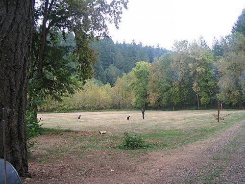 Beautiful, large field for the kids to play on.
