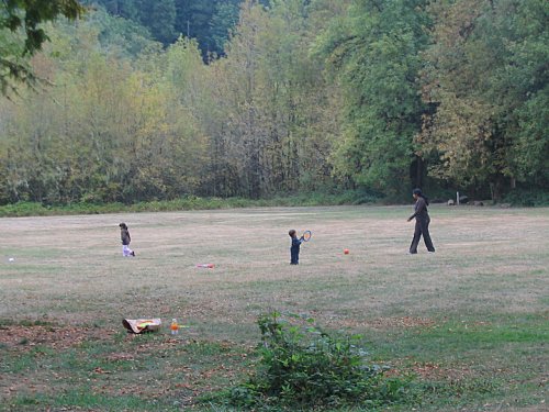 Bella, Ronin, & Antonette playing in the field.
