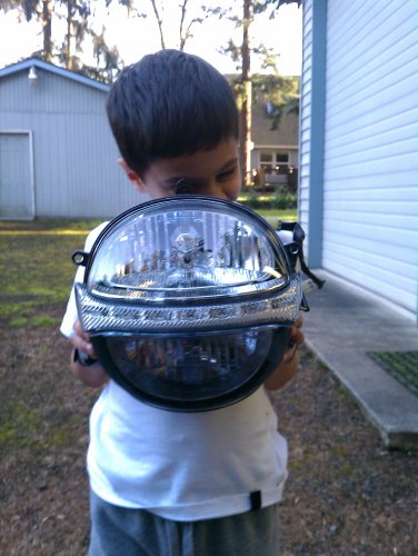 Front view, half and half
My little helper showing the bottom tinted and the top untinted.
