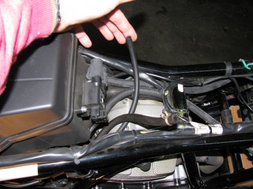 I'm holding the hose that I'm going to merge and thus remove.  The one near the bottom of the picture with the brass hose clamp is the hose that will remain and thus serve as the bleed and drainage line.
