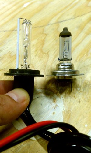 HID on the left, OEM H7 on the right.  Notice that the HID bulb is taller.
