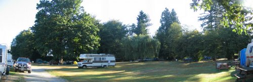 Broad view of the tent camping area.  There's our tree!
