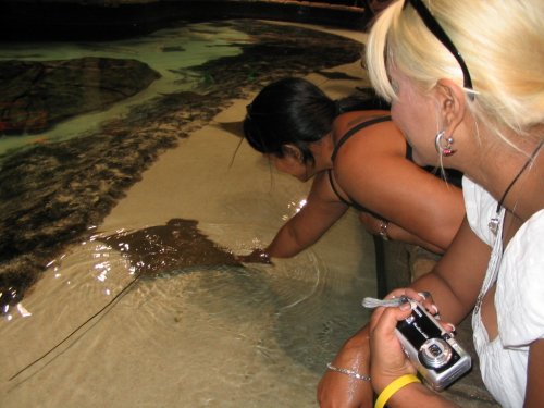 Antonette got to touch one.
