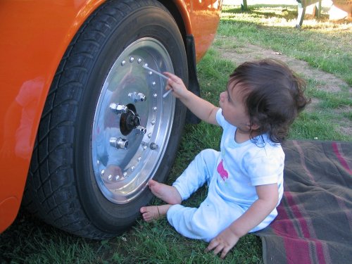 Li'l Monkey "helping" me prep my car before the car show.
