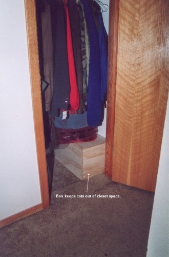What it looks like in the coat closet.
