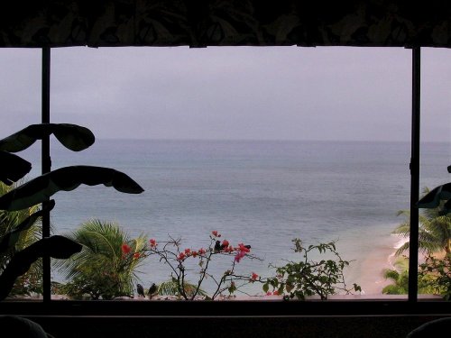 Some birds joined us for breakfast outside our window.
