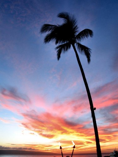 Sunset at the luau, which was next to Black Rock (I recommend the snorkeling there...I even saw a moray eel that was at least 4' long!).

