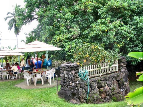 Lunch time next to the garden.
