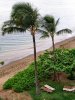 Maui_day01_015.jpg