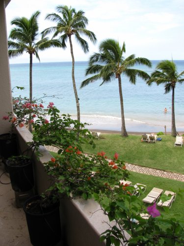 The view to the left of the lanai.
