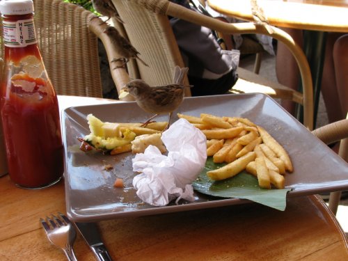 Lunch at Leilani's Island Steakhouse (Ka'anapali Beach)
Goooood food!  I'm sharing my spoils with the locals.
