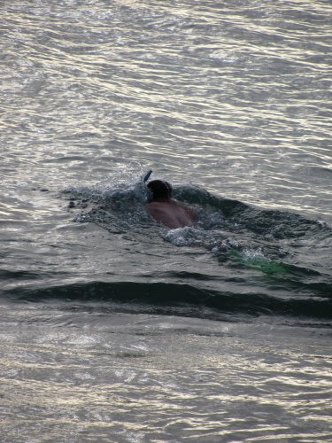 Me snorkeling.  Well, trying to.  The visibility was really poor this time due to the after effects of a storm that occurred near New Zealand a few days earlier.

