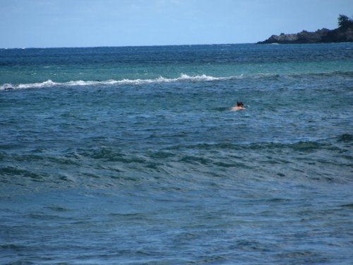 Day 3
Tried snorkeling again.  Fail.
