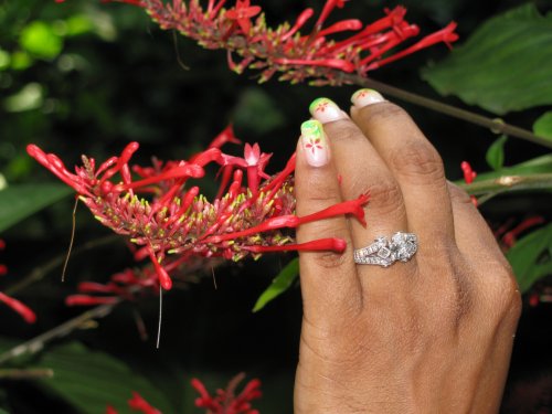 Picture of A's ring on our way back to the car.  As we walked the path the air was heavy with the foreign smell of ripened fruits on the trees and decaying ones one the ground.
