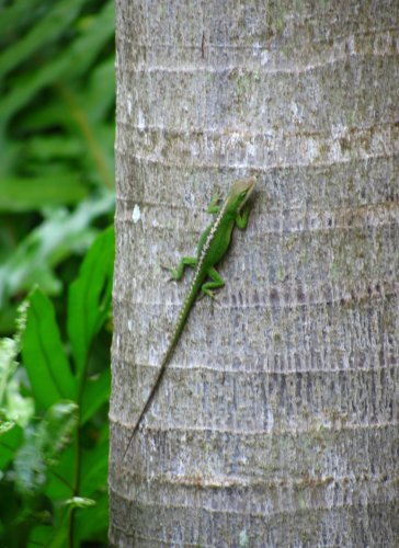 Day 4
Pictures from around our resort.
