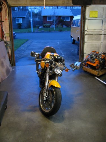 Safe and sound in her new home.
