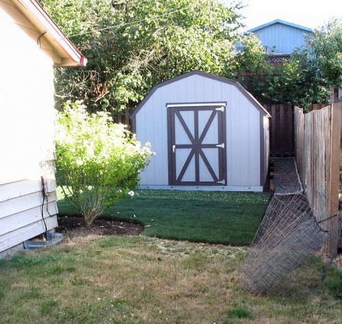 Big contrast between new grass and old!
