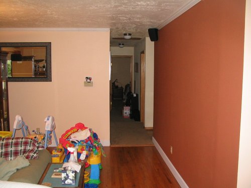 Accent wall.  This wall separates the kitchen and living room.  The stove and refridgerator is on the other side.
