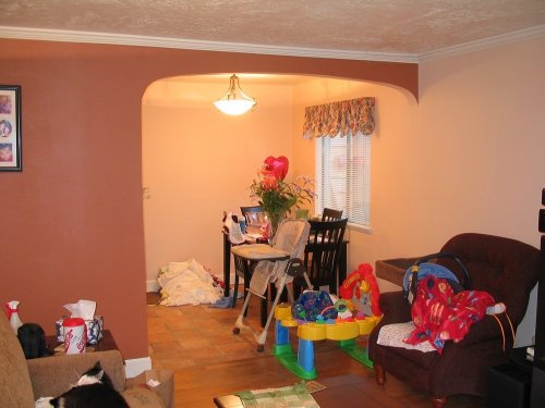 After:  Dining room painted and new vinyl flooring layed.  New window treatment and light.  Some time during the construction the original stove finally cooked its last meal so a new one replaced it so we got a glass-top with glass touch controls, convection oven, warming drawer...very nice unit!
