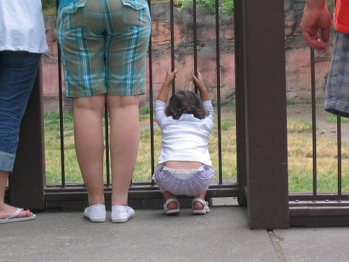 Bella wanting to play with the giraffe and zebras.
