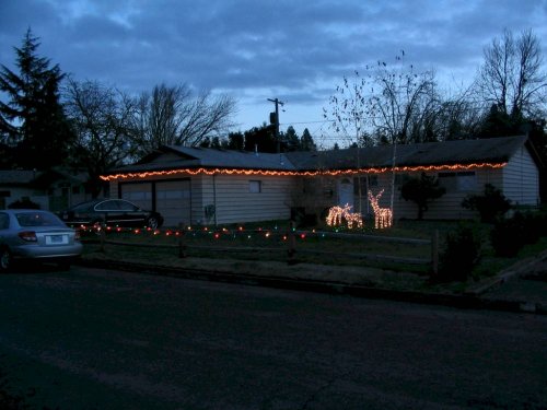 The first time I've put up lights.  Of course I didn't really have a decision in the matter...
