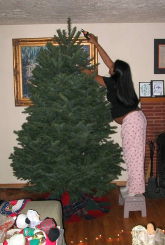 Pregnant Trini Girl preping the tree.
