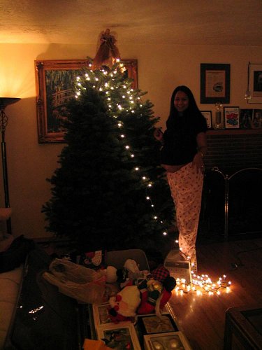 Stringing up the lights.
