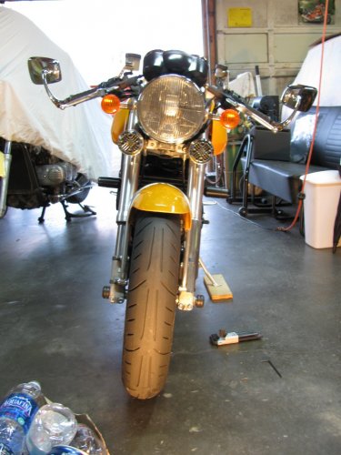 This shows my bike with one protector on.  The left side of the picture (right side of bike) is no protector while the right side of the picture (left side of bike) has the fork protector mounted.
