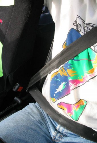 Covers the torso and lap (or gut) for any size occupant.
