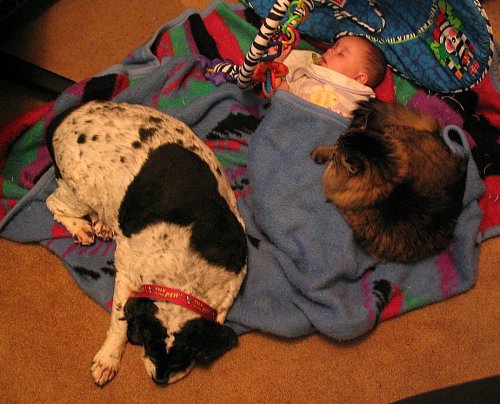 Babies are nice to snuggle up to.
